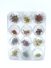 Nail decor, dried flowers, in container (12 colors)