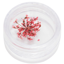 Nail decor, dried flowers, in a container (12 colors) -5 Nail decor, dried flowers, in a container (12 colors) -5