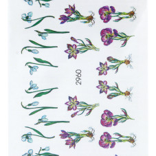 Tatuaj pentru unghii  2960