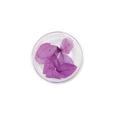 Nail decor, dried flowers, in container (12 colors) - 2