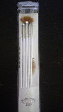 A set of brushes for drawing 5 pcs, white