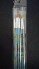 A set of brushes for drawing 6 pcs, green with roses