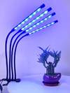 SM-YC4X Table Lamp