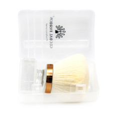 Powder Brush Global Fashion 19