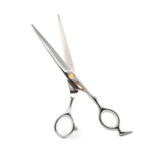 Hair cutting scissors, professional Global Fashion 6.5