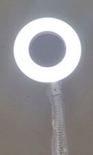 Настільна кільцева LED лампа на затискачу, 5W, white