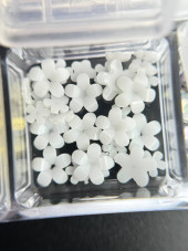 3D volumetric figures for manicure, set (mix: pearls, brooches, bows)