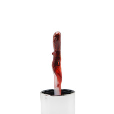 Гель лак котяче око Red Pomegranate, 01