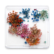 Nail art, dried flowers D25