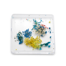 Nail art, dried flowers D28