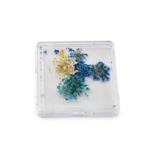 Nail art, dried flowers D29