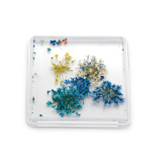 Nail art, dried flowers D29