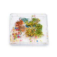 Nail art, dried flowers D26