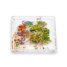 Nail art, dried flowers D26