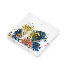 Nail art, dried flowers D31