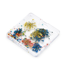 Nail art, dried flowers D31